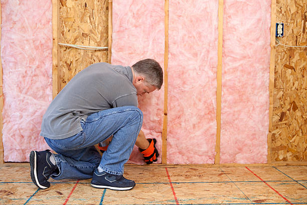 Insulation Inspection Services in East Hazel Crest, IL